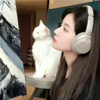 亲友皆死封面