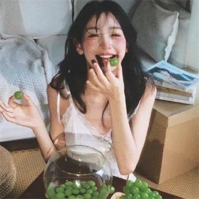 流氓燕封面