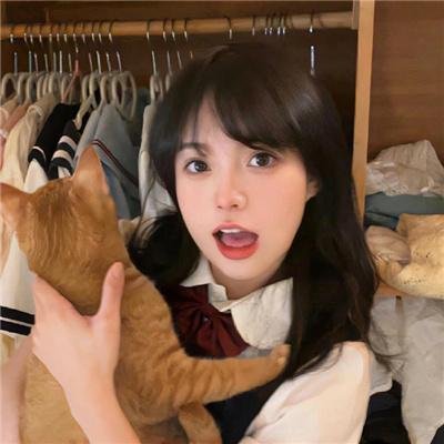 安乐传封面